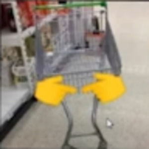 Meet your Posher, El